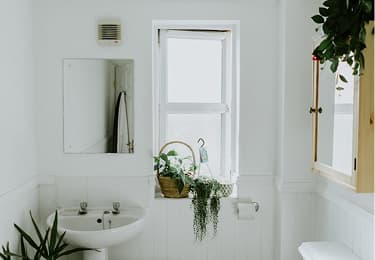 Bathroom Deep Clean